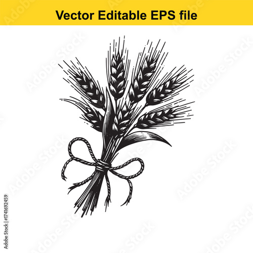 Vector art of bouquet of wheat ears tied with a ribbon