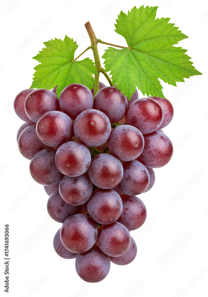 Fototapeta premium Fresh red grape bunch with green leaves isolated on transparent background