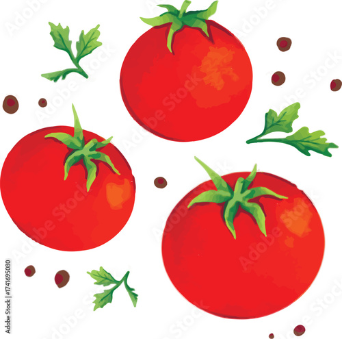 Red tomato vector design. Natural vegetable isolated for food packaging and recipe decoration.