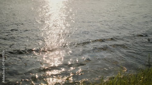 Sunlight sparkles on calm ocean waves gently lapping the grassy shore