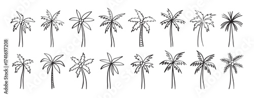 palm tree doodle hand drawn icon set. Outline drawing palm tree line clipart symbol collection