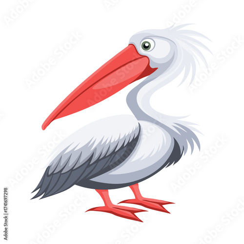 Pelican isolated on white background. Fauna. Illustration.