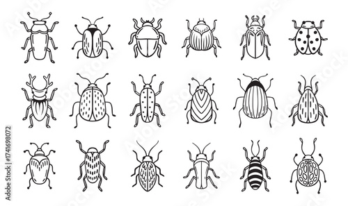 Garden bugs hand drawn outline doodle icon set. Garden bugs drawing elements simple line beetle clipart