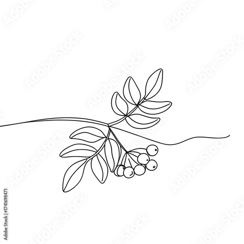 Minimalist line drawing of a branch with leaves and berries  