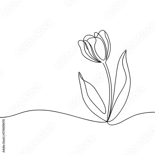 Single line art depicting a tulip flower with leaves  