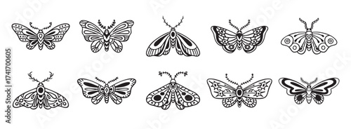 Moth doodle hand drawn icon set. Outline drawing moth line clipart symbol collection