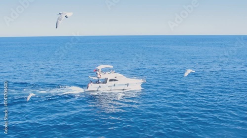 A white yacht or motorboat speeds across the deep blue ocean on a bright, sunny day, leaving a foamy wake. The scene is made dynamic by several seagulls flying alongside and around the boat. 