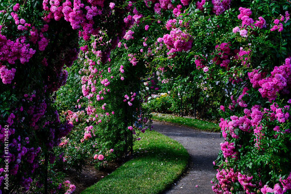 Fototapeta premium An archway made up of flowers