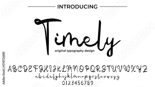 Timely - Elegant Script Font for Smooth Handwritten Design and Creative Typography