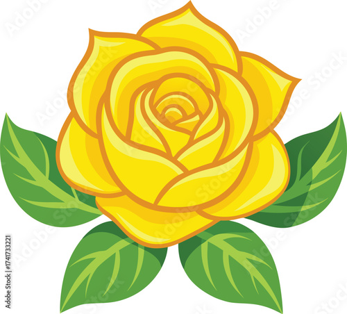 Yellow Rose On White Background