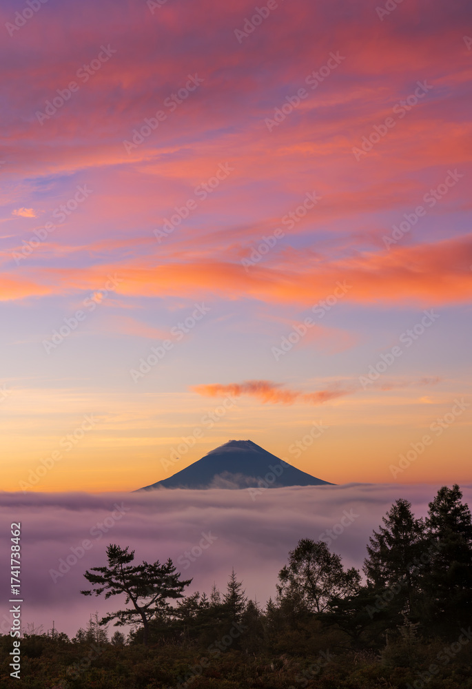 Fototapeta premium 甘利山から朝焼けの雲海に浮かぶ富士山