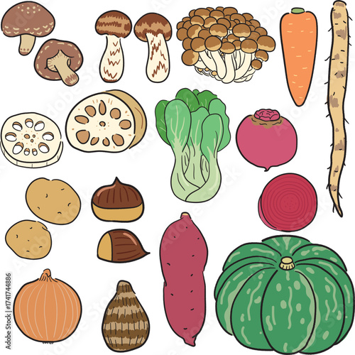 手描き風　秋の野菜セット