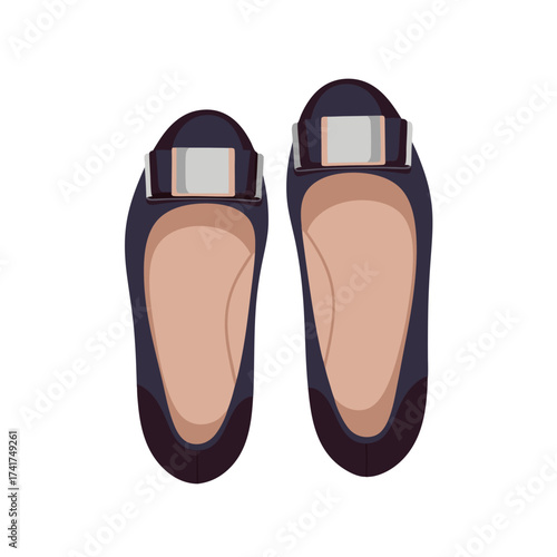 Pair of brown ballet flats with silver buckle