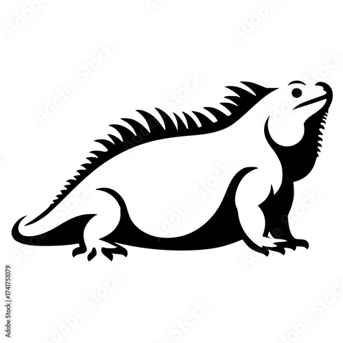 Baby iguana silhouette