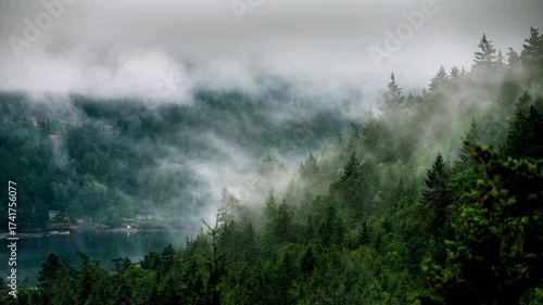 Cloudy Forest River Valley with Misty Evergreen Trees and Fog Time Lapse Scene