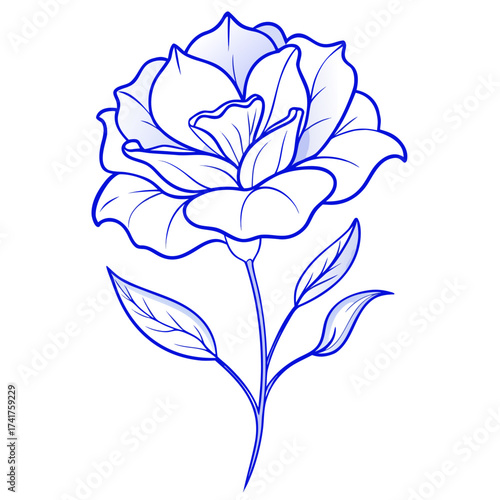 lisianthus echo blue picotee on white 