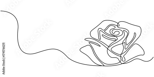 Continuous line art illustration of a rose flower, A minimalist and elegant black linear design, gracefully drawn in one unbroken line, Minimalist contour drawing of rose . Continuous line drawing.