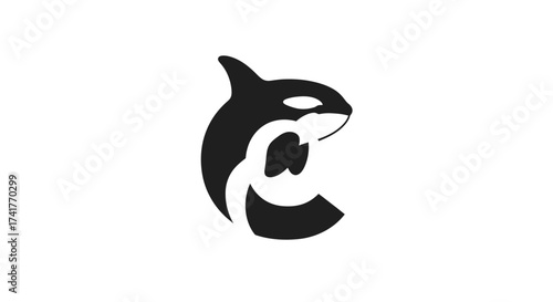 Minimalist orca logo design combining animal imagery and abstract shapes for branding identity