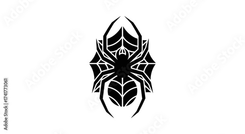 Black Spider Silhouette on Web Creates a Striking and Minimalist Design element