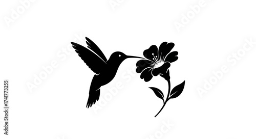 Elegant Silhouette of Hummingbird Sipping Nectar from Blooming Flower Art Design