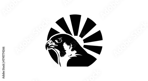 Striking black and white logo featuring a majestic falcon head and radiating sun rays