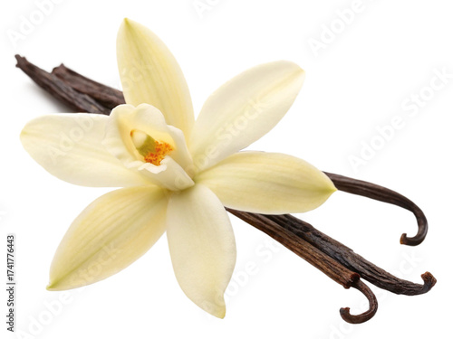 Photos vanilla pods and flower PNG Cutout