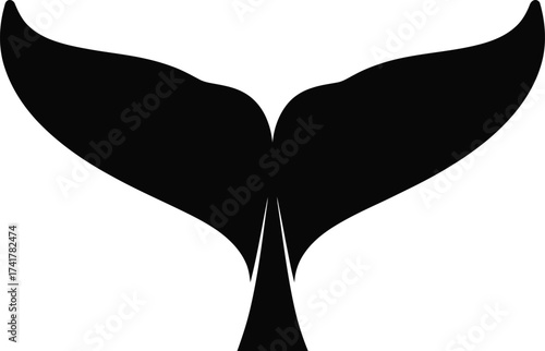 Whale tail silhouette fluke marine mammal
