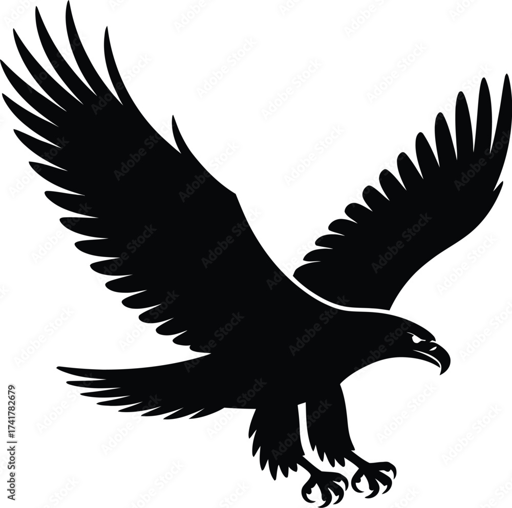 Obraz premium Black eagle in flight bird flying