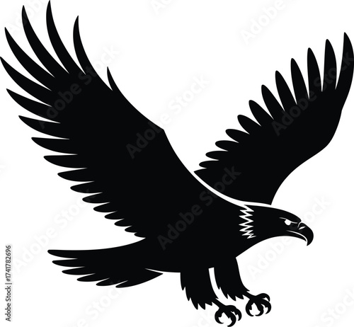 Black eagle soaring vector silhouette bird flying