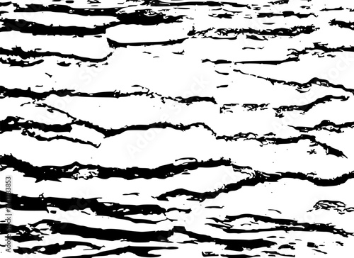 Tree bark texture