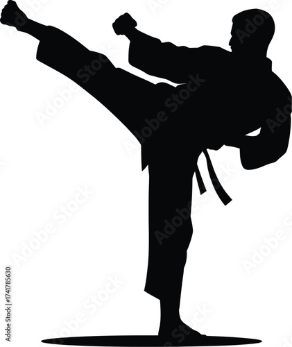 Black silhouette of martial artist performing high kick