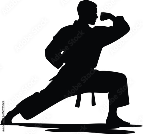 Martial artist striking pose martial arts karate