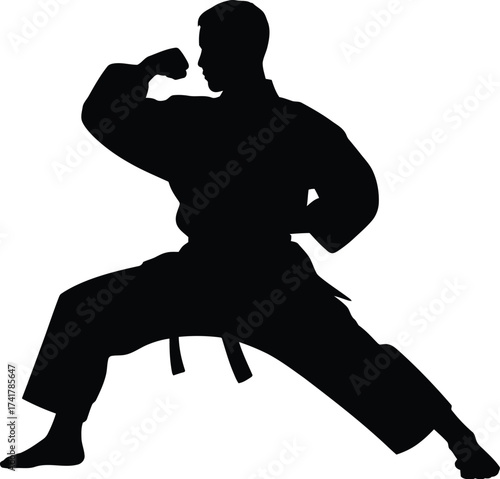 Martial artist black silhouette karate fighting stance