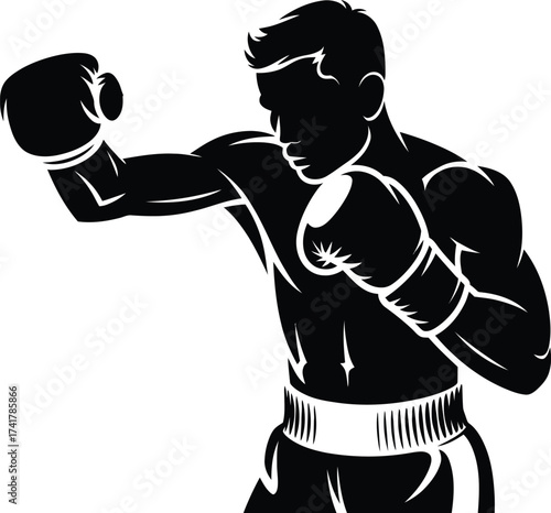 Boxer in fighting stance boxing fighter