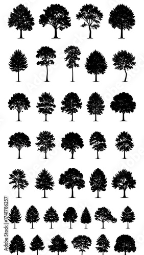 Collection of Various Silhouette Trees on a White Background