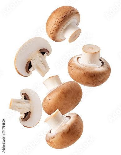 Fresh whole and sliced button mushrooms flying artfully for culinary inspiration