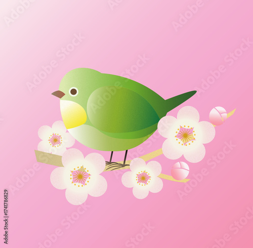 梅の花とメジロ