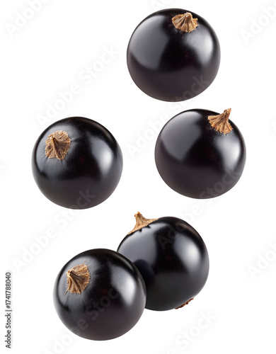 Fresh blackcurrants isolated for culinary use and healthy eating recipes