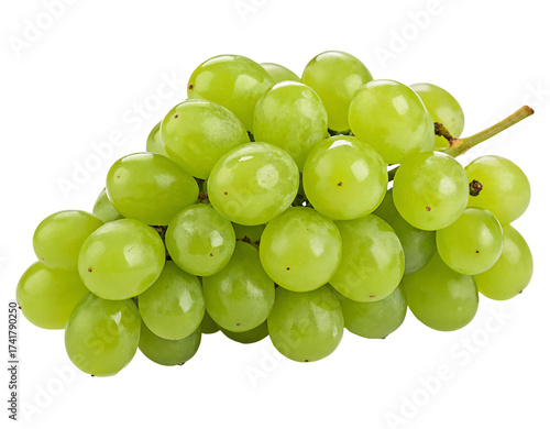 Fresh green grapes cluster juicy sweet ripe healthy fruit isolated natural produce