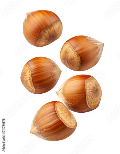 Close-up of five fresh whole hazelnuts isolated against a