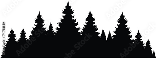 Silhouette of a coniferous forest evergreen trees in a row vector illustration for nature and outdoor designs