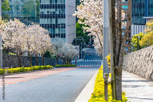 東京　皇居周辺