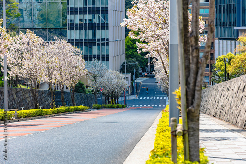 東京　皇居周辺