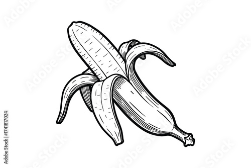 Peeled banana vector illustration
