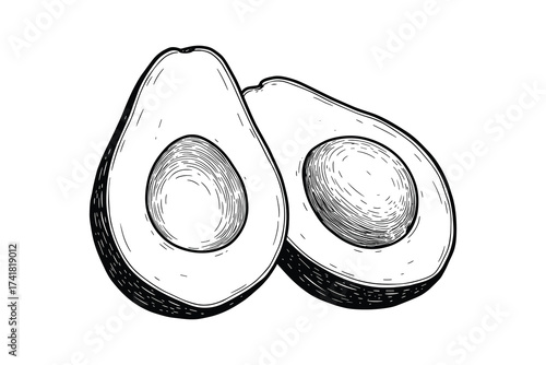 Avocado halves vector illustration