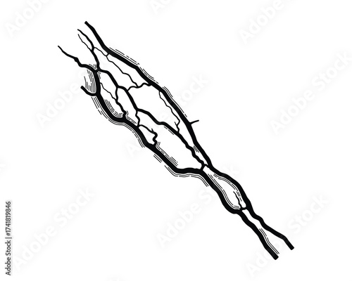 Riverbed diagram vector illustration