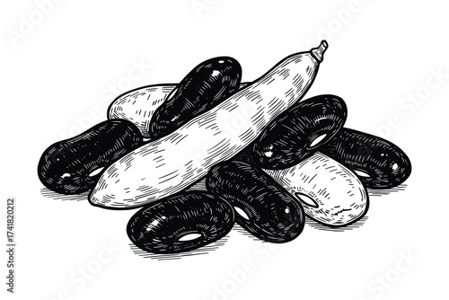 beans black and white pile vector illustration