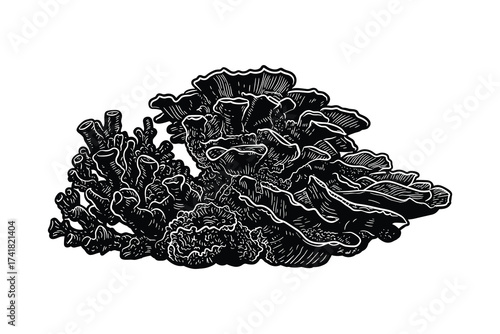Coral reef underwater plant ocean ecosystem vector illustration