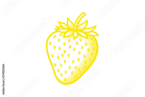 Strawberry yellow monochrome vector illustration