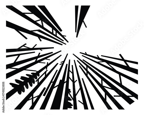 Forest trees looking up vector illustration